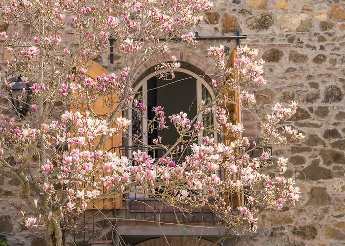 La Magnolia